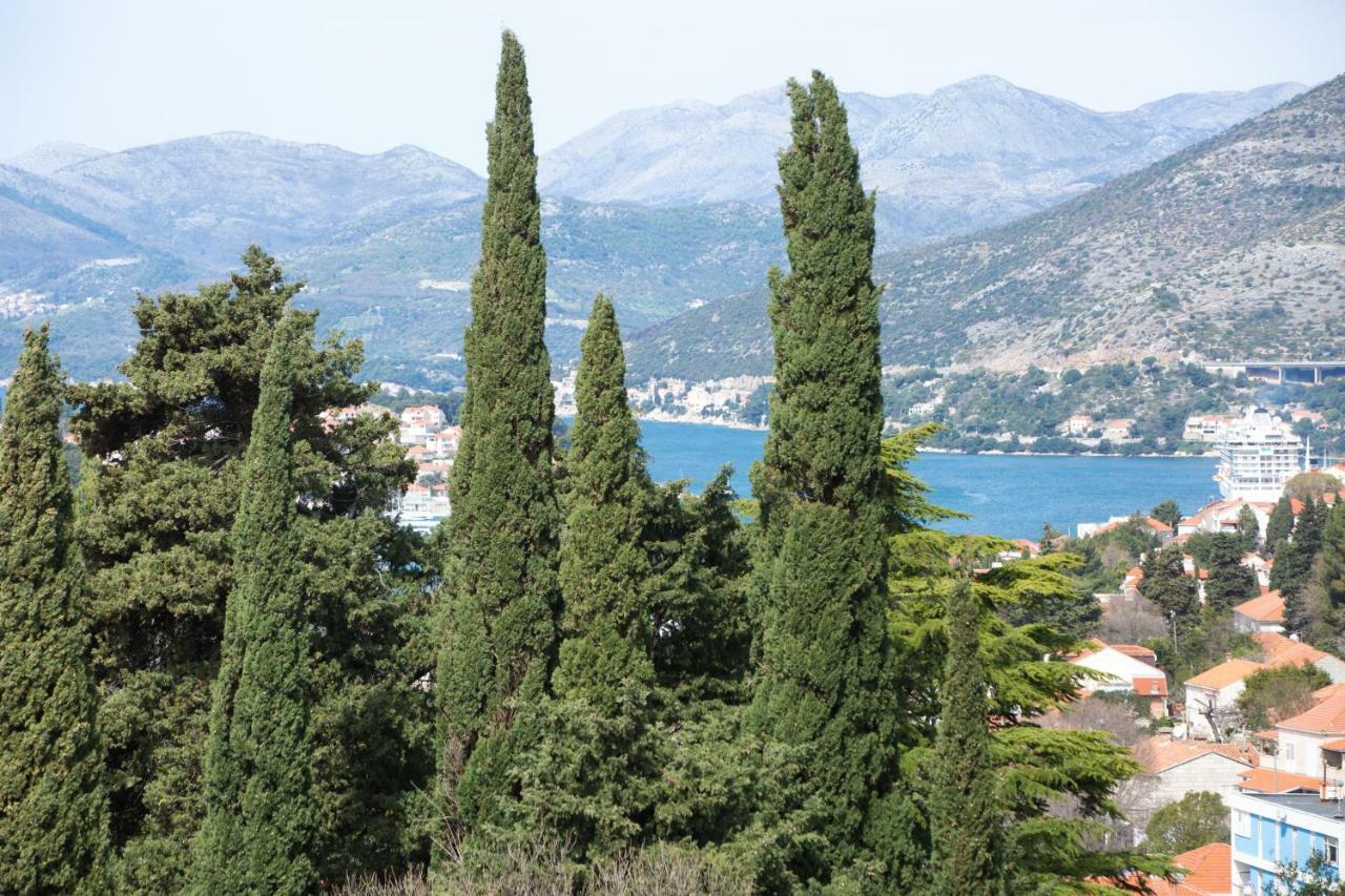 Apartment Spacious Near The Old Town Dubrovnik